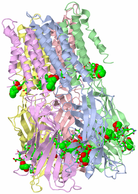 Image Biol. Unit 1 - sites