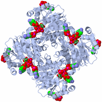 Image Biological Unit 1