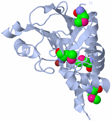 Image Biological Unit 1