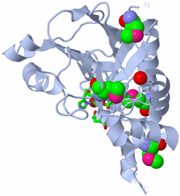 Image Biol. Unit 1 - sites