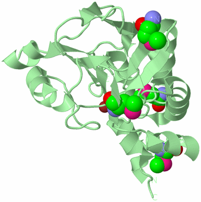 Image Biological Unit 2