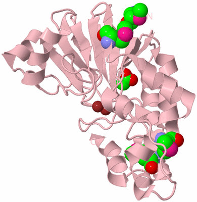 Image Biological Unit 3