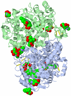 Image Biological Unit 1