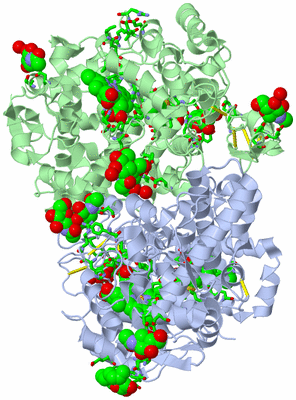 Image Biol. Unit 1 - sites