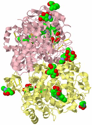 Image Biological Unit 2