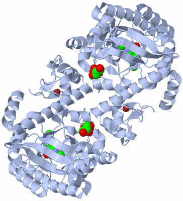 Image Biological Unit 1