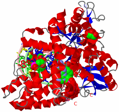 Image Asym./Biol. Unit