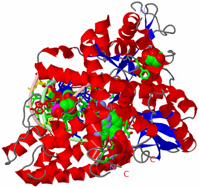 Image Asym./Biol. Unit - sites