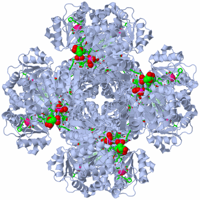 Image Biol. Unit 1 - sites