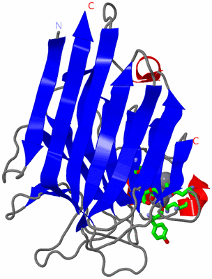 Image Asym. Unit - sites