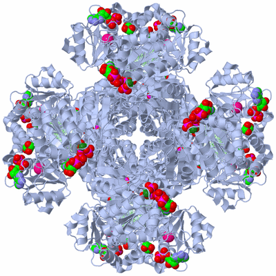 Image Biological Unit 1