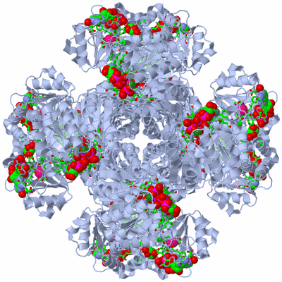 Image Biol. Unit 1 - sites