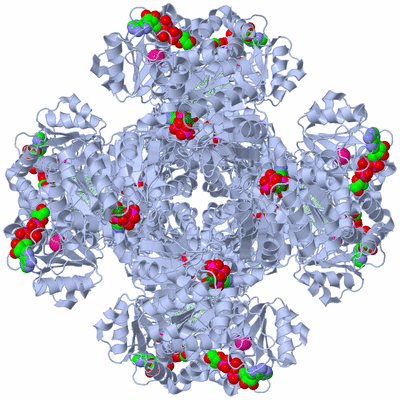 Image Biological Unit 1