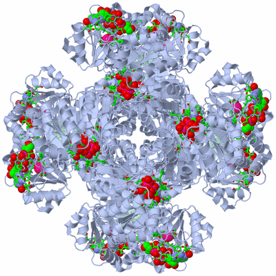 Image Biol. Unit 1 - sites