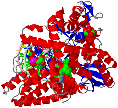 Image Asym./Biol. Unit