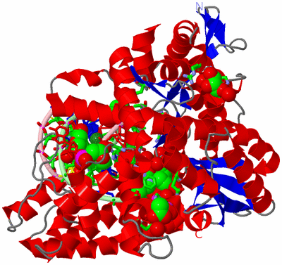 Image Asym./Biol. Unit - sites