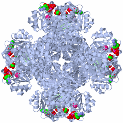 Image Biological Unit 1