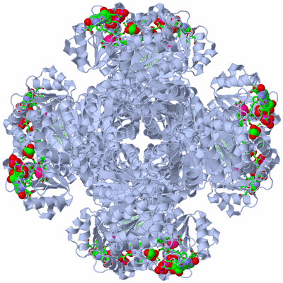 Image Biol. Unit 1 - sites