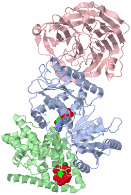 Image Asym./Biol. Unit