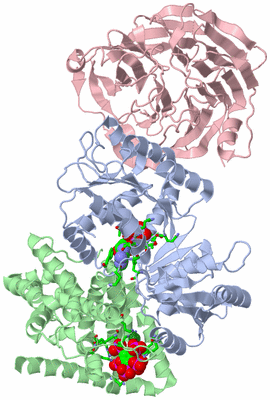 Image Asym./Biol. Unit - sites