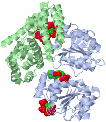 Image Asym./Biol. Unit