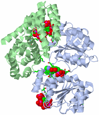 Image Asym./Biol. Unit - sites