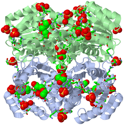 Image Biol. Unit 1 - sites