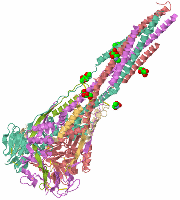 Image Biological Unit 2