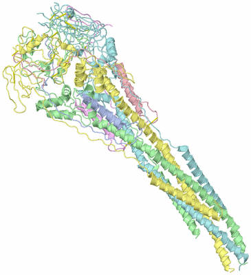 Image Asym./Biol. Unit