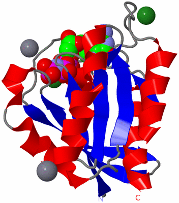 Image Asym./Biol. Unit