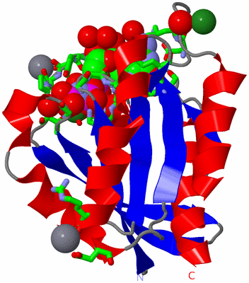 Image Asym./Biol. Unit - sites