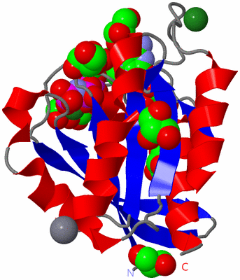 Image Asym./Biol. Unit