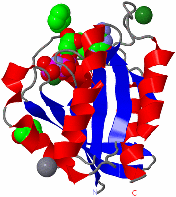 Image Asym./Biol. Unit