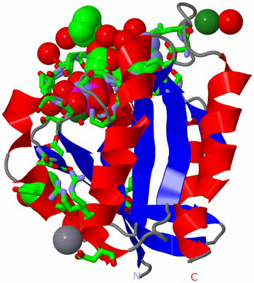 Image Asym./Biol. Unit - sites