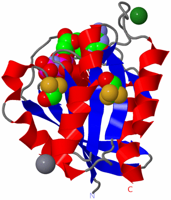 Image Asym./Biol. Unit