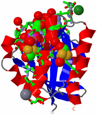 Image Asym./Biol. Unit - sites