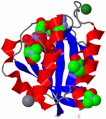 Image Asym./Biol. Unit