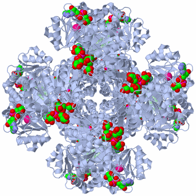 Image Biological Unit 1