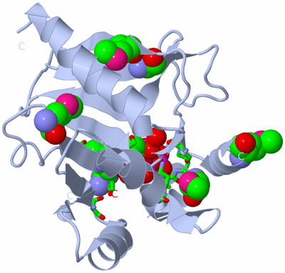 Image Biol. Unit 1 - sites