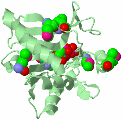 Image Biological Unit 2