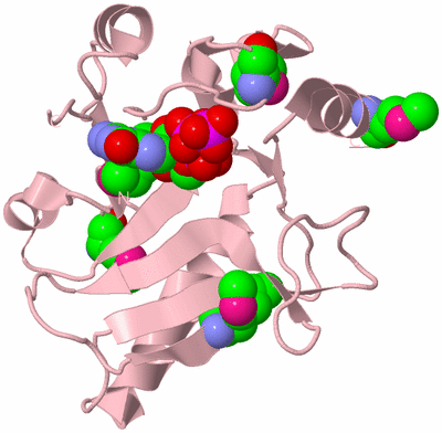 Image Biological Unit 3