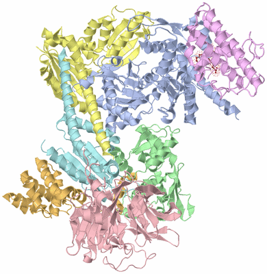 Image Asym./Biol. Unit