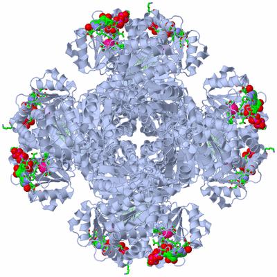 Image Biol. Unit 1 - sites