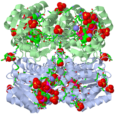 Image Biol. Unit 1 - sites