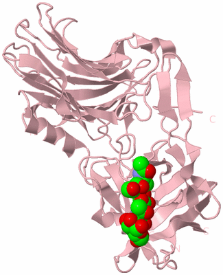 Image Biological Unit 3