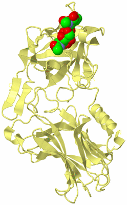 Image Biological Unit 4