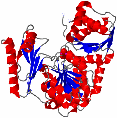 Image Asym./Biol. Unit