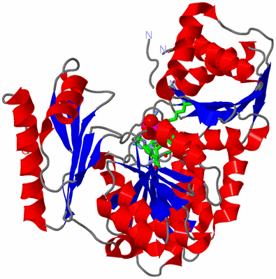 Image Asym./Biol. Unit - sites