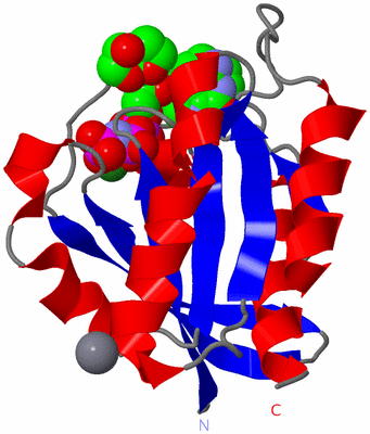 Image Asym./Biol. Unit