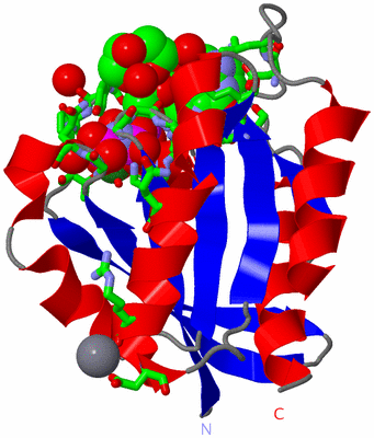 Image Asym./Biol. Unit - sites